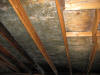 Attic Ceiling Mold - Newton MA