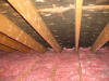 Attic Ceiling Mold 