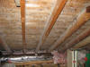 Aspergillus Mold Growth - Attic Ceiling Beverly MA