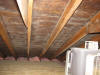 Attic Ceiling Mold Growth - Aspergillus Mold Billerica MA