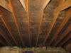 Attic Ceiling Mold - Lowell MA  5/2012