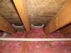 Attic Ceiling Mold in Chelmsford MA  5/2012