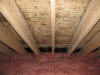 Attic Ceiling Mold -penicillium mold Scituate MA