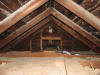 Aspergillus Mold Growth on Attic Ceiling