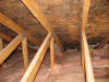 Aspergillus mold on Attic Sheathing Beverly MA