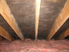 Attic Ceiling Mold Boston MA 5/2012